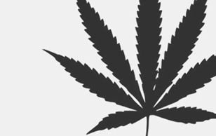 government-conspiracies-cannabis-conspiracy-h