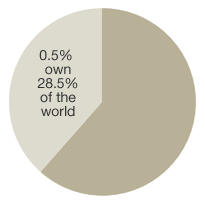 0.5% own 48.5% of total world wealth